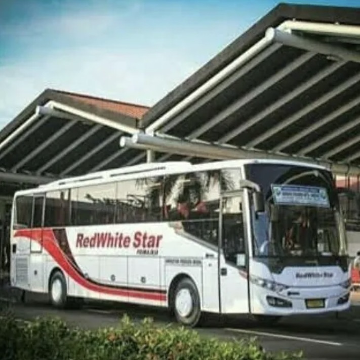 Bus Transport Option